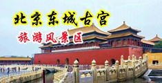 男生和女生搞鸡的免费网站中国北京-东城古宫旅游风景区